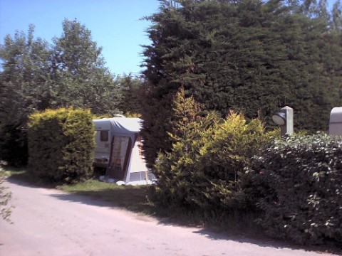 wempl11.jpg